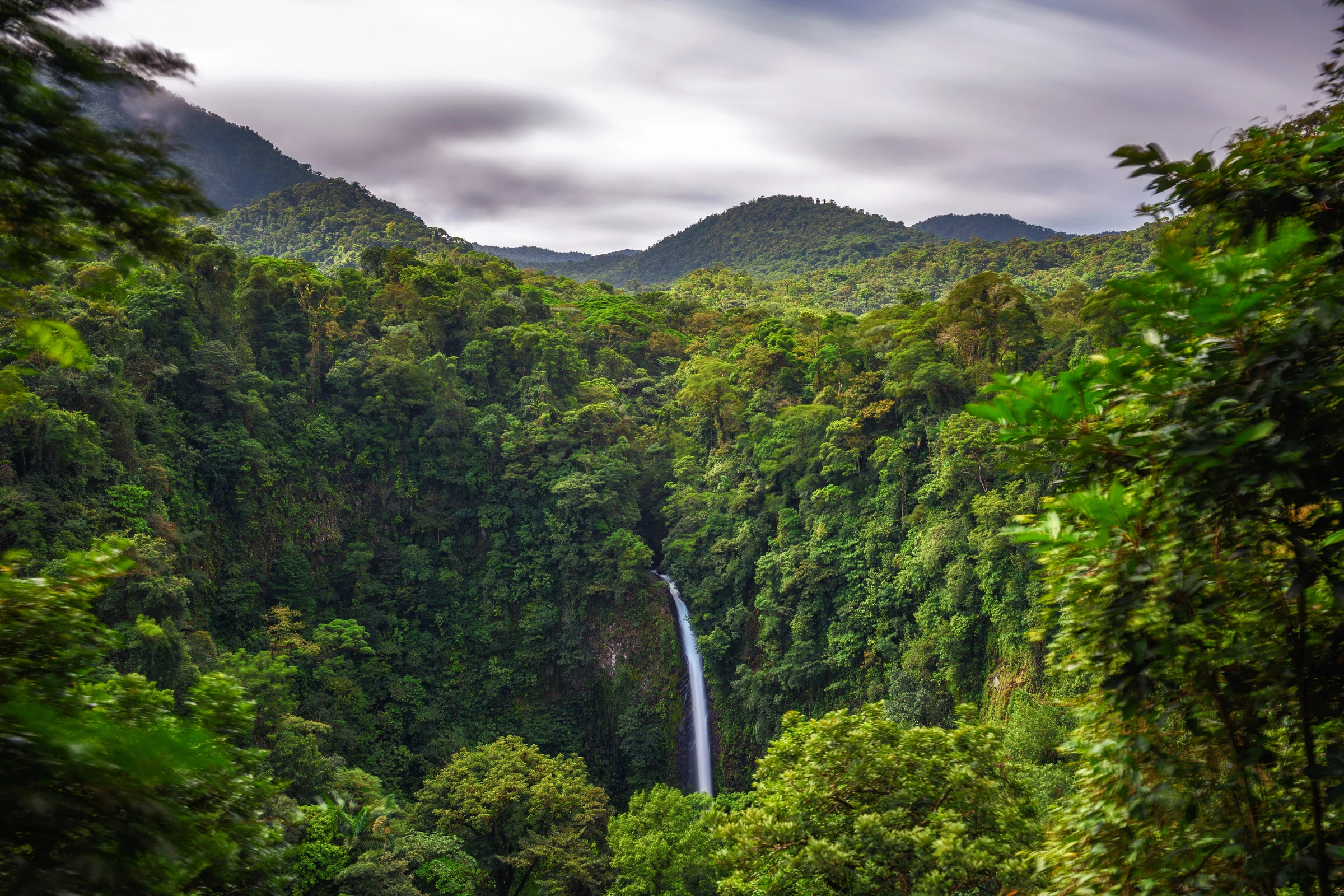 La_Fortuna[1].webp